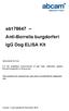 ab178647 Anti-Borrelia burgdorferi IgG Dog ELISA Kit