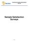 Sample Satisfaction Surveys