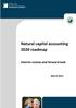Natural capital accounting 2020 roadmap. Interim review and forward look