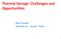 Thermal Storage: Challenges and Opportunities. Ravi Prasher Sheetak Inc., Austin, Texas