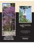 TREES OF PURDUE UNIVERSITY. A walking tour of the diversity of trees found on the West Lafayette campus