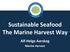 Sustainable Seafood The Marine Harvest Way