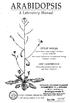 ARABIDOPSIS. A Laboratory Manual DETLEF WEIGEL JANE GLAZEBROOK