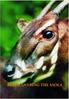 REDISCOVERING THE SAOLA WORKSHOP PROCEEDINGS