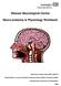 Wessex Neurological Centre. Neuro-anatomy & Physiology Workbook