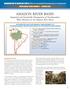 ORGANIZATION OF AMERICAN STATES Office for Sustainable Development & Environment WATER PROJECT SERIES, NUMBER 8 OCTOBER 2005 AMAZON RIVER BASIN