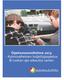 CURRICULUM 2013 THREE-PHASE DRIVING INSTRUCTION FOR CATEGORY B DRIVING LICENCE INTRODUCTION