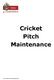 Cricket Pitch Maintenance