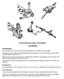 SUSPENSION AND STEERING OVERVIEW