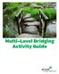 Multi-Level Bridging Activity Guide