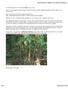 Leatherleaf mahonia & English ivy tests (herbicide and machete)