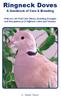 Ringneck Doves. A Handbook of Care & Breeding