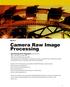 Camera Raw Image Processing