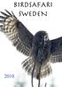 Birdsafari Sweden 2010