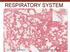 RESPIRATORY SYSTEM 42 Dr. Larry Johnson Texas A&M University