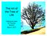 The Art of the Tree of Life. Catherine Ibes & Priscilla Spears March 2012
