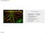 Local Anaesthetics. Local anesthetics (LA) Part 1: Basic facts Part 2: Clinical aspects. 1. Reversible. blockade of conduction in peripheral nerves