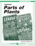 TEACHING Parts of Plants