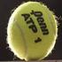 A Study of Spin Effects on Tennis Ball Aerodynamics