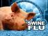 What is swine flu? Swine Influenza (swine flu) is a respiratory disease of pigs viruses that causes regular outbreaks in pigs.