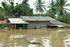 FLOOD DAMAGE ASSESSMENT IN THE MEKONG DELTA, VIETNAM