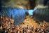 The Parting of the Red Sea