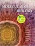 Chapter 4.2 (textbook: Molecular Cell Biology 6 ed, Lodish section: ) DNA Replication, Repair, and Recombination