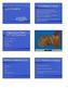 Liver Imaging. Liver Imaging/Cirrhosis. Signs of Liver Failure and Portal Hypertension. Methods of Imaging the Liver. CT Workhorse of Imaging